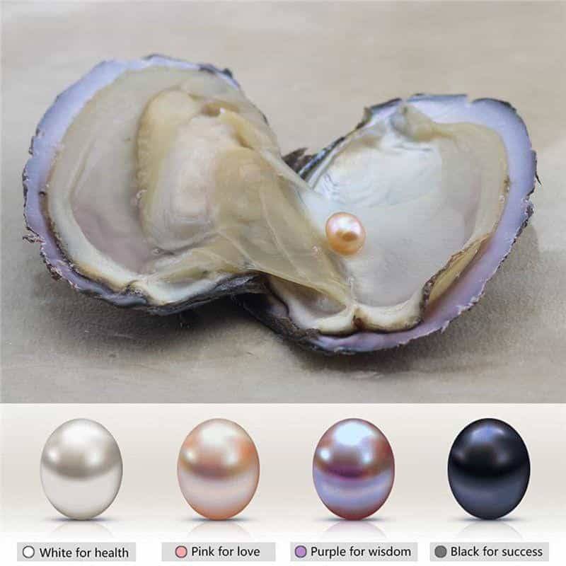 Natural Oyster Pearl Necklace Best Sellers Jewelry Type : Angel|Pink Rose|Red Rose|Shell|Coconut Tree|Dolphin|Love|Rose|Wish|Cherry|Sunflow|Pigeon 