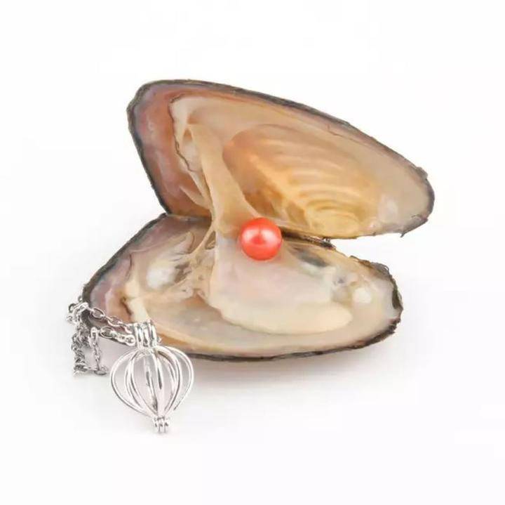 Natural Oyster Pearl Necklace Best Sellers Jewelry Color : Random Natural Oyster Pearl Necklace Best Sellers Jewelry Color : Random